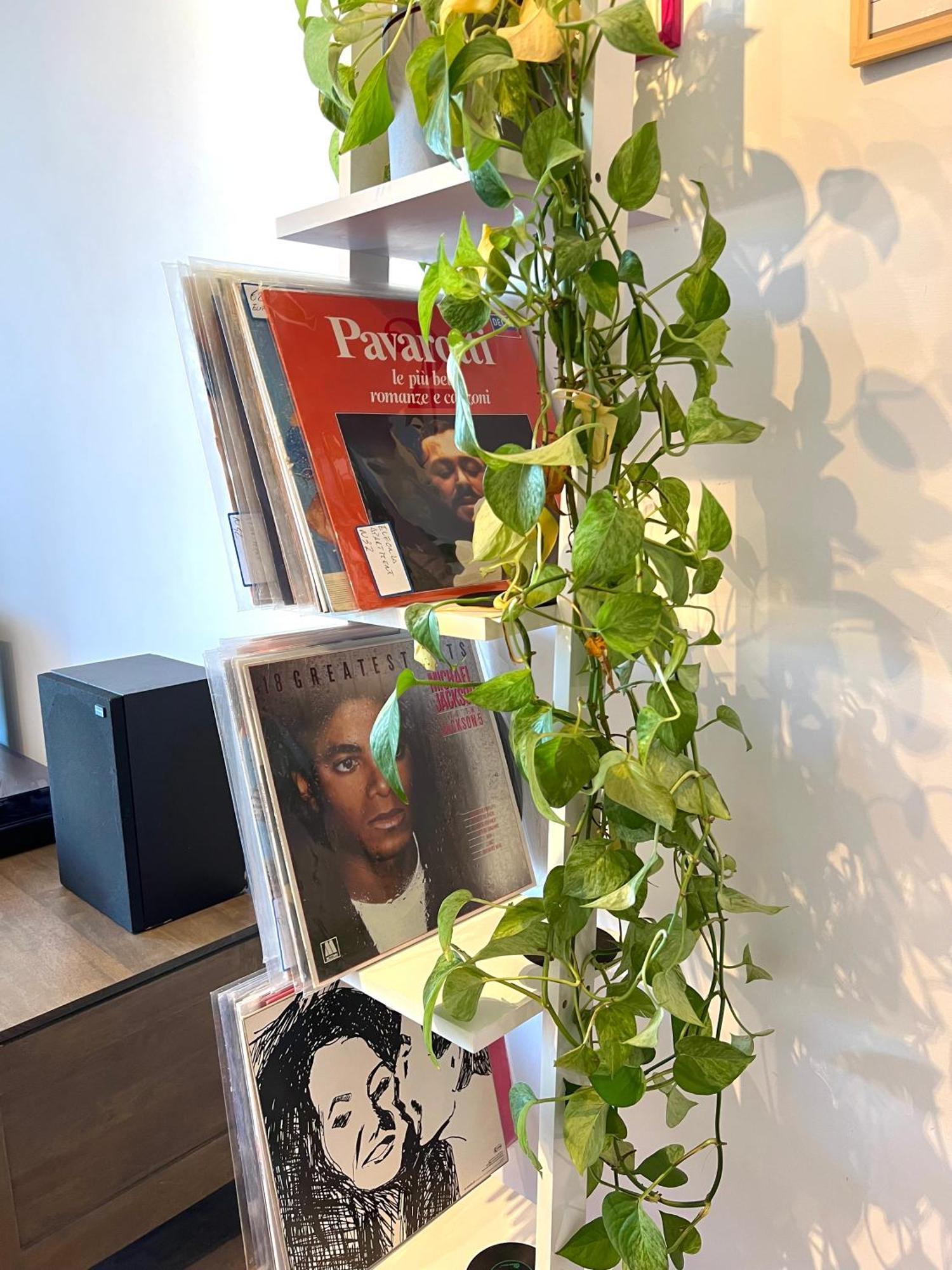 Eufonia Vinyl Friendly Apartment Rom Exteriör bild