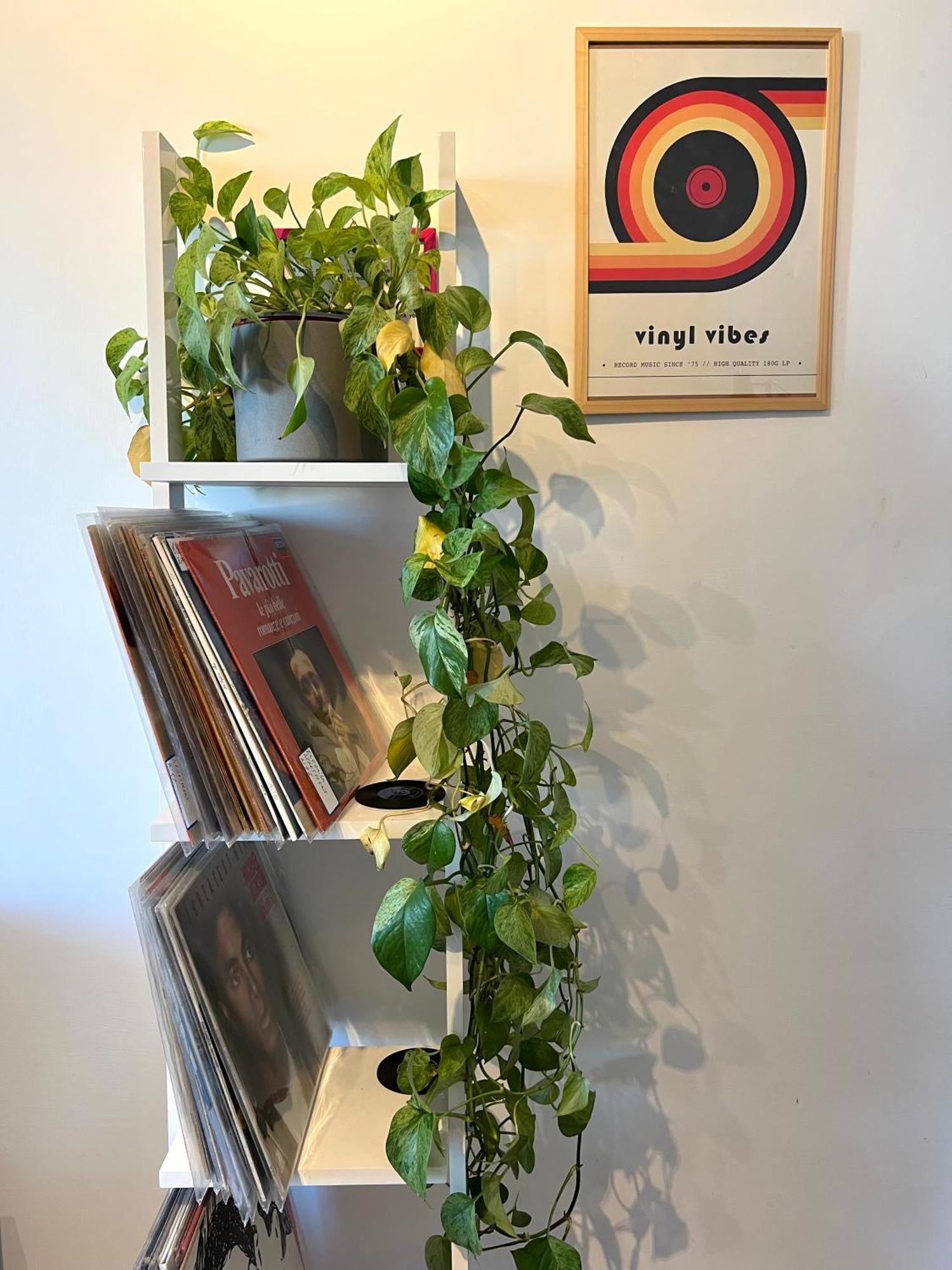 Eufonia Vinyl Friendly Apartment Rom Exteriör bild